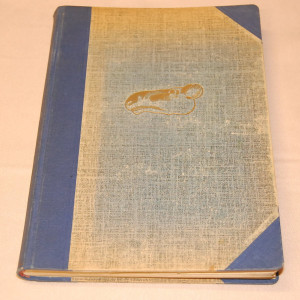 Suur-Huittisten pitäjän historia vuoteen 1639